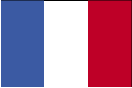 Saint Barthélemy Flag